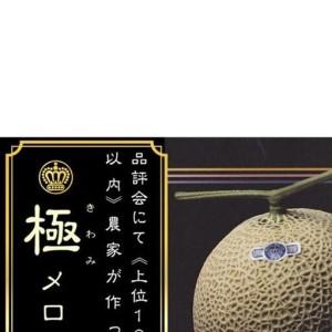 ふるさと納税 【3ヶ月定期便】数量限定！『クラウンメロン ”極メロン” 1玉 』 ギフト箱入り メロン 人気 厳選 ギフト 贈り物 デザート グルメ .. 静岡県袋井市