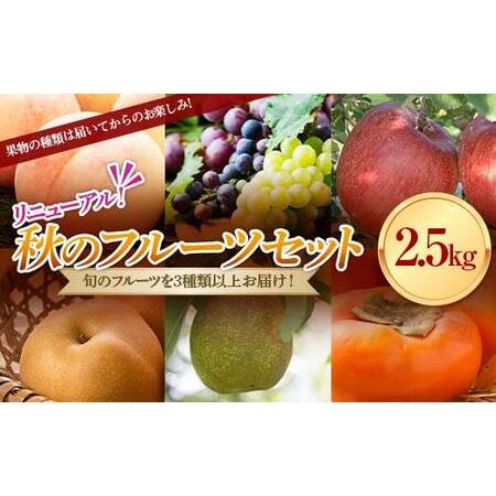 ふるさと納税 《先行予約 2026年度発送》秋のフルーツセット2.5kg ぶどう ブドウ 葡萄 デザ...
