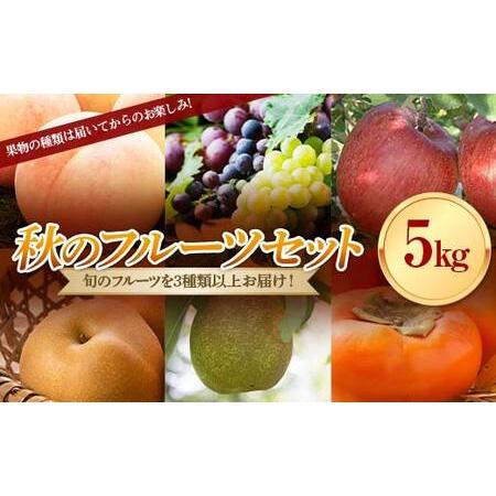 ふるさと納税 《先行予約 2026年度発送》秋のフルーツセット5kg もも モモ 桃 マスカット デ...