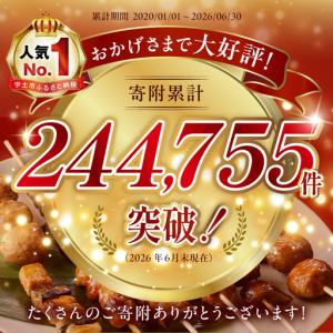 ふるさと納税 九州産 こだわりのやきとり 6種...の詳細画像1