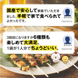 ふるさと納税 九州産 こだわりのやきとり 6種...の詳細画像3