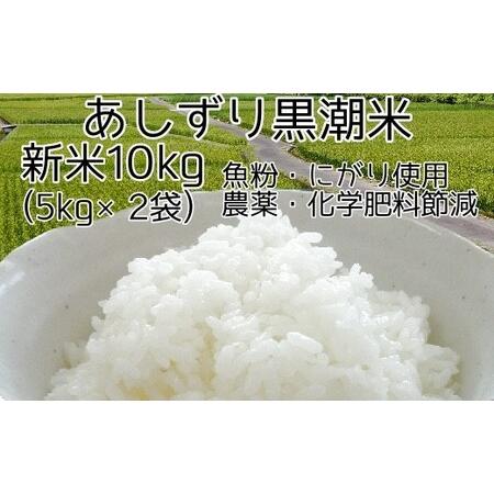 ふるさと納税 令和5年産 あしずり黒潮米10kg（5kg×2袋）【コシヒカリ】精米 新米 白米 こめ...