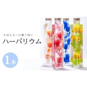 ふるさと納税 ハーバリウム (高さ21.5cm×横幅約4cm・四角瓶) 花 フラワー 贈り物 プリザーブドフラワー ドライフラワー インテリア 大分県 .. 大分県佐伯市