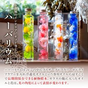 ふるさと納税 ハーバリウム (高さ21.5cm...の詳細画像2
