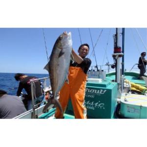 ふるさと納税 伊豆 海満喫体験 船釣 VIP 乗...の商品画像