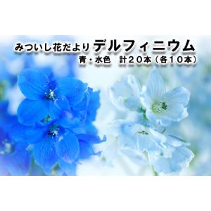 デルフィニウム 種 フラワーアレンジメント の商品一覧 花 ガーデニング 通販 Yahoo ショッピング