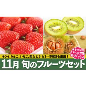 ふるさと納税 旬のフルーツセット 11月号【令和6年11月より発送開始】 田舎の頑固おやじが厳選！ 茨城県つくばみらい市