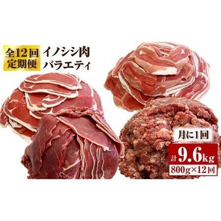 ふるさと納税 ≪脊振ジビエ≫イノシシ肉バラエティ12回定期便 総量9.6kg【ブイマート・幸ちゃん】...