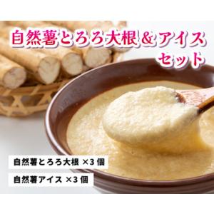 ふるさと納税 コクがあるのに後味すっきり！自然薯アイスクリーム＆とろろ大根おろしセット（6個入り）【...