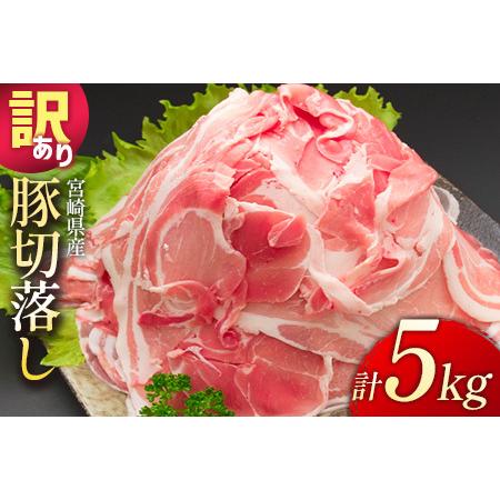 ふるさと納税 2025年7月にお届け「訳あり」宮崎県産 豚切落し 5kg【C325】 宮崎県新富町
