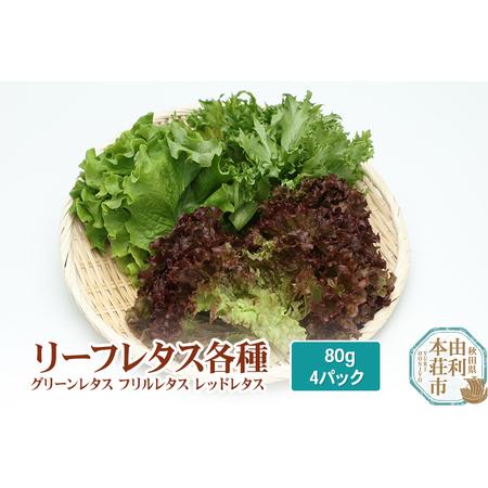 ふるさと納税 リーフレタス各種 80g×4パック グリーンレタス フリルレタス レッドレタス 秋田県...