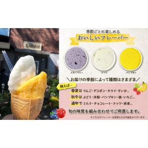 ふるさと納税 ジェラート Ruhiel 完熟フ...の詳細画像2