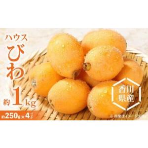 ふるさと納税 ハウスびわ 約1kg【2025年3月中旬〜2025年5月上旬配送】【T006-208】 香川県高松市｜furunavi