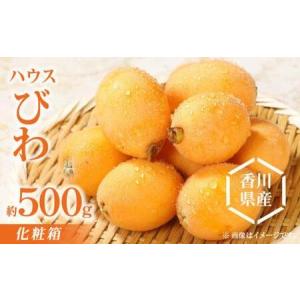 ふるさと納税 ハウスびわ化粧箱 約500g【2025年3月中旬〜2025年5月上旬配送】【T006-209】 香川県高松市｜furunavi