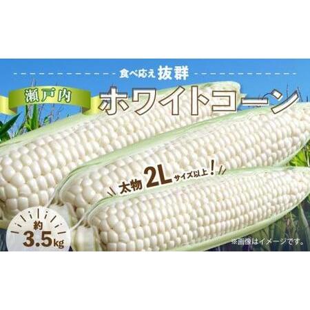 ふるさと納税 太物2Lサイズ以上!瀬戸内ホワイトコーン 約3.5kg【2024年6月中旬〜2024年...