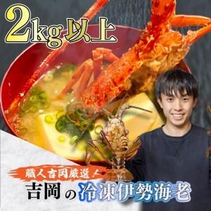 ふるさと納税 伊勢海老 2kg 以上 冷凍 鍋 刺身 高級 伊勢エビ イセエビ 高知県 須崎市 伊勢...