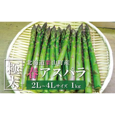 ふるさと納税 極太！JAそらち南 春の味覚「グリーンアスパラガス」2L〜4L 1kg前後 北海道栗山...