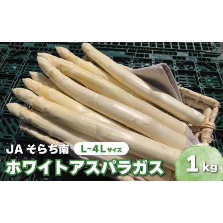 ふるさと納税 春一番！JAそらち南の味覚「ホワイトアスパラガス」L~4L 1kg前後 北海道栗山町