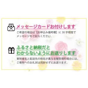 ふるさと納税 【お花の定期便6ヶ月】そのまま飾...の詳細画像3