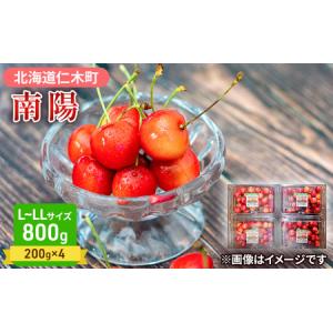 ふるさと納税 先行受付 さくらんぼ 南陽 800...の商品画像