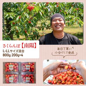 ふるさと納税 先行受付 さくらんぼ 南陽 80...の詳細画像3