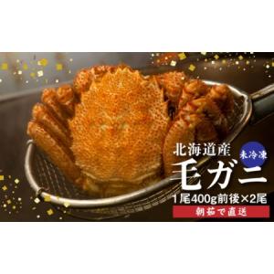 ふるさと納税 【配達地域限定】『冷蔵』朝茹で直送毛ガ...