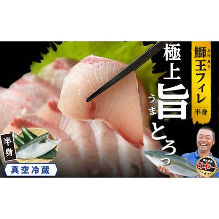 ふるさと納税 【14日前後で順次発送】「鰤王」 フィレ 半身 (約1.2kg〜) フ゛リ 鰤 【JF...