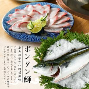 ふるさと納税 ボンタンぶりまるごと一本(内臓処...の詳細画像3