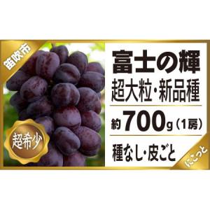 ふるさと納税  ＜2024年先行予約＞富士の輝1房約700g★ 097-009　| 富士の輝 ブラッ...