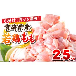 ふるさと納税 宮崎県産若鶏もも肉 2.5kg(250g×10パック)　肉