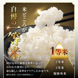 ふるさと納税 【令和7年産】岩手ふるさと米 ひ...の詳細画像1