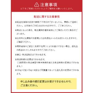 ふるさと納税 【令和7年産】岩手ふるさと米 ひ...の詳細画像4