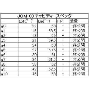 ふるさと納税 1091. キャビティアイアン ...の詳細画像2