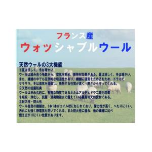 ふるさと納税 ベッドパット ウール 洗える 抗...の詳細画像3