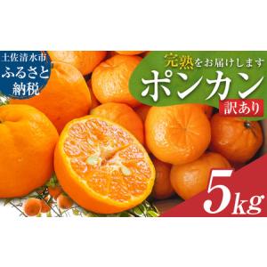 ふるさと納税 【令和9年1月下旬以降発送】<訳あ...の商品画像