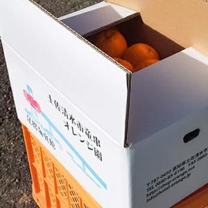 ふるさと納税 【令和9年1月下旬以降発送】<訳...の詳細画像3