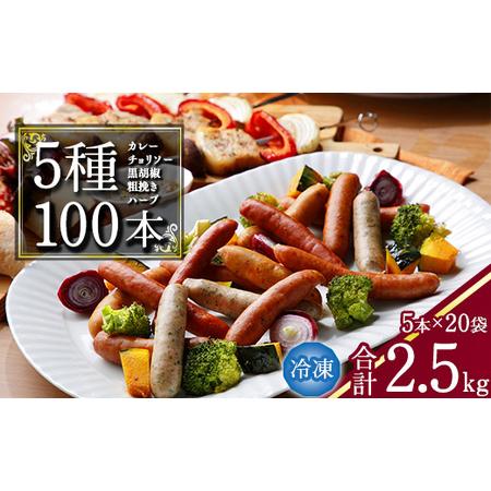 ふるさと納税 【本格バルの味】５種のウインナー 合計2.5kg（125g×小分け20パック：計100...