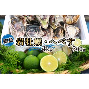 ふるさと納税 岩牡蠣 殻付き 細島 岩ガキ 約4kg 日向特...