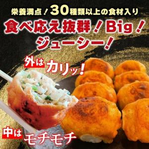 ふるさと納税 餃子はながさホワイト餃子餃子【6...の詳細画像2