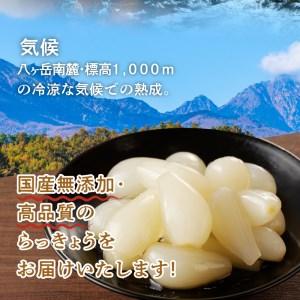 ふるさと納税 色白美人らっきょう 国産無添加 ...の詳細画像3