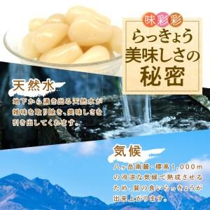 ふるさと納税 味彩彩 国産無添加 らっきょう ...の詳細画像2