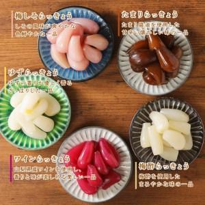 ふるさと納税 味彩彩 国産無添加 らっきょう ...の詳細画像3