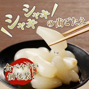 ふるさと納税 らっきょう3種(梅酢・たまり醤油...の詳細画像1
