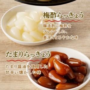 ふるさと納税 らっきょう3種(梅酢・たまり醤油...の詳細画像2
