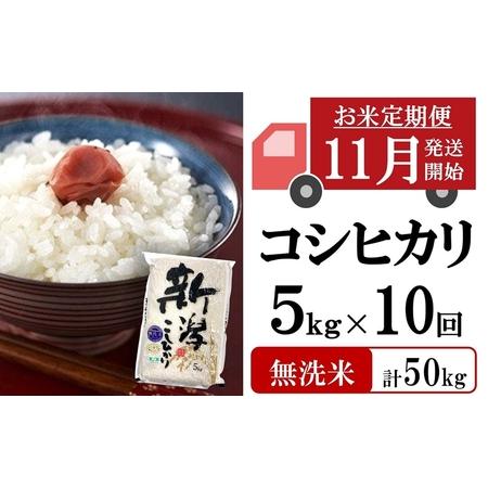 ふるさと納税 新米先行予約【定期便・11月〜発送】コシヒカリ 無洗米 5kg×10回（計 50kg）...