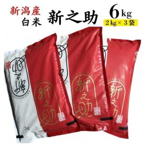 ふるさと納税 令和7年産米【五ツ星お米マイスター厳選】新之助 白米 6kg（2kg×3袋）[Y0423] 新潟県柏崎市