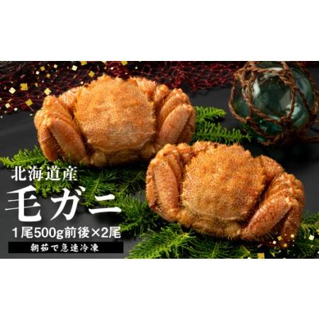 ふるさと納税 【北海道産】『冷凍』毛ガニ500g前後×2杯【急速冷凍】【520020】 北海道恵庭市