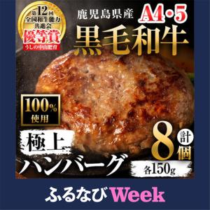 ふるさと納税 【ふるなびWEEK対象】鹿児島県産 黒毛和牛 100%使用 極上 ハンバーグ(計1.2kg) FN-Limited-WE a5-376 鹿児島県志布志市