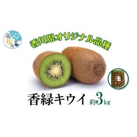 ふるさと納税 香緑キウイ 約3kg【2024年11月下旬〜2025年3月下旬配送】【T006-266...