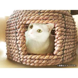 ふるさと納税 い草縄 猫のお家 猫 グッズ 猫...の詳細画像2